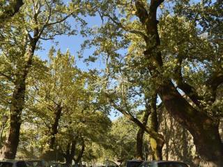 ΠΑΡΑΛΙΜΝΙΟ