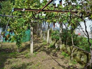 Detached - Grekodom 45862|669482