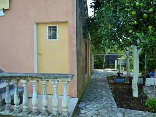 Detached - Grekodom 45862|669483