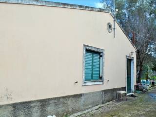 Detached - Grekodom 43996|642019