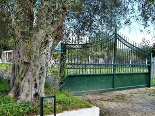 Detached - Grekodom 43996|642020