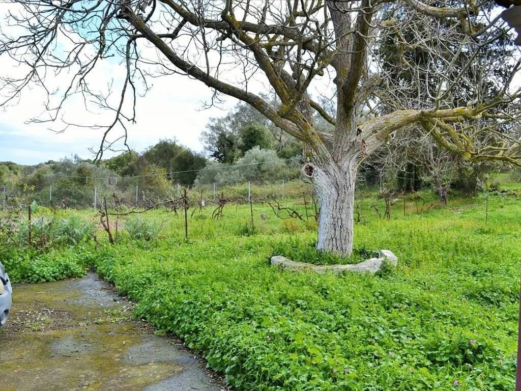 Detached - Grekodom 43996|642010