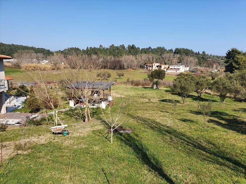 Hotel - Grekodom 43819|639289