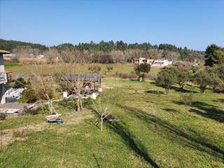 Hotel - Grekodom 43819|639289