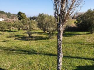 Hotel - Grekodom 43819|639290