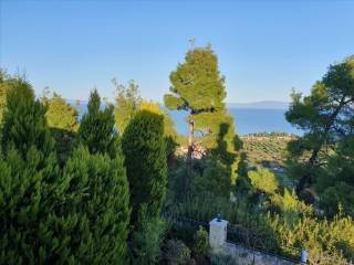 Detached - Grekodom 41923|617061