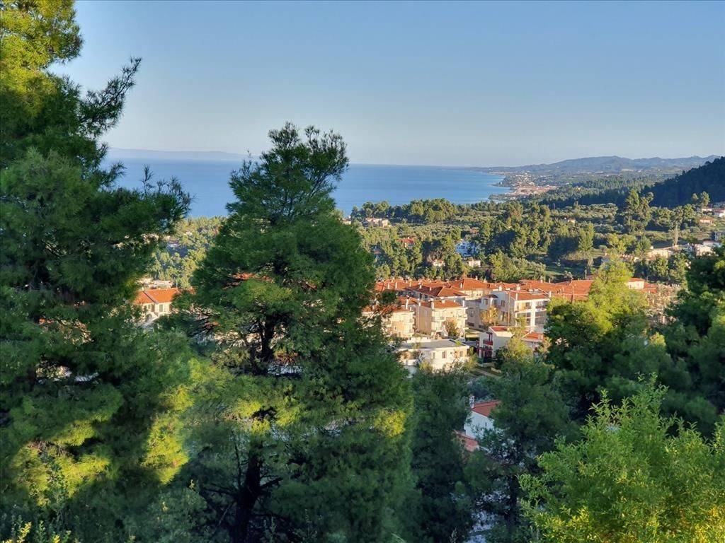 Detached - Grekodom 41923|617063