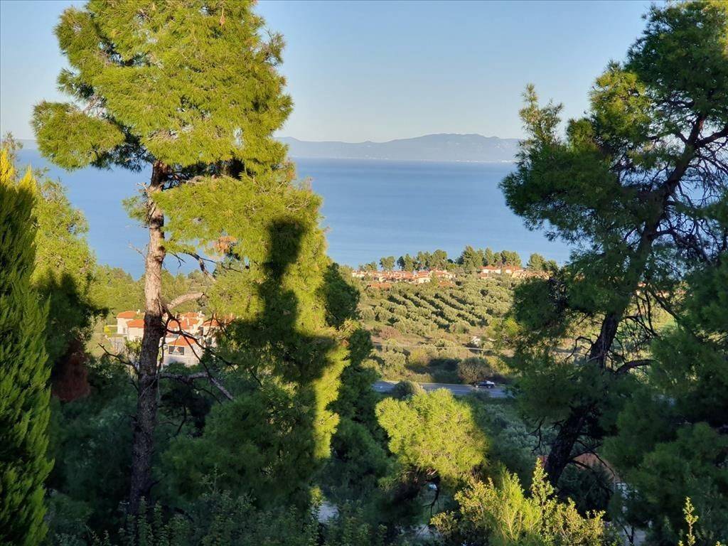 Detached - Grekodom 41923|617062