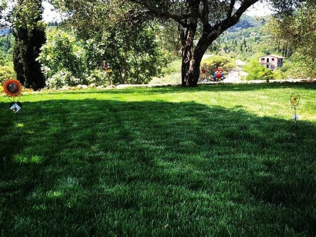 Detached - Grekodom 24926|895735