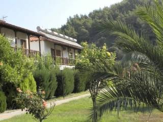 Hotel - Grekodom 11387|334096