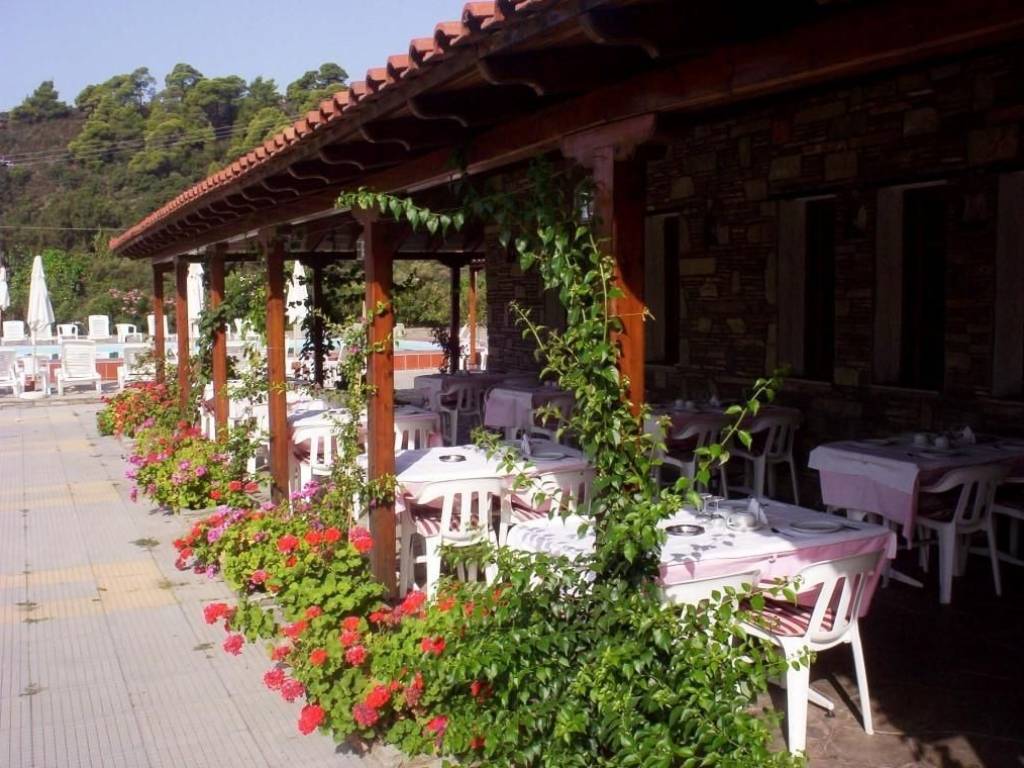 Hotel - Grekodom 11387|334088