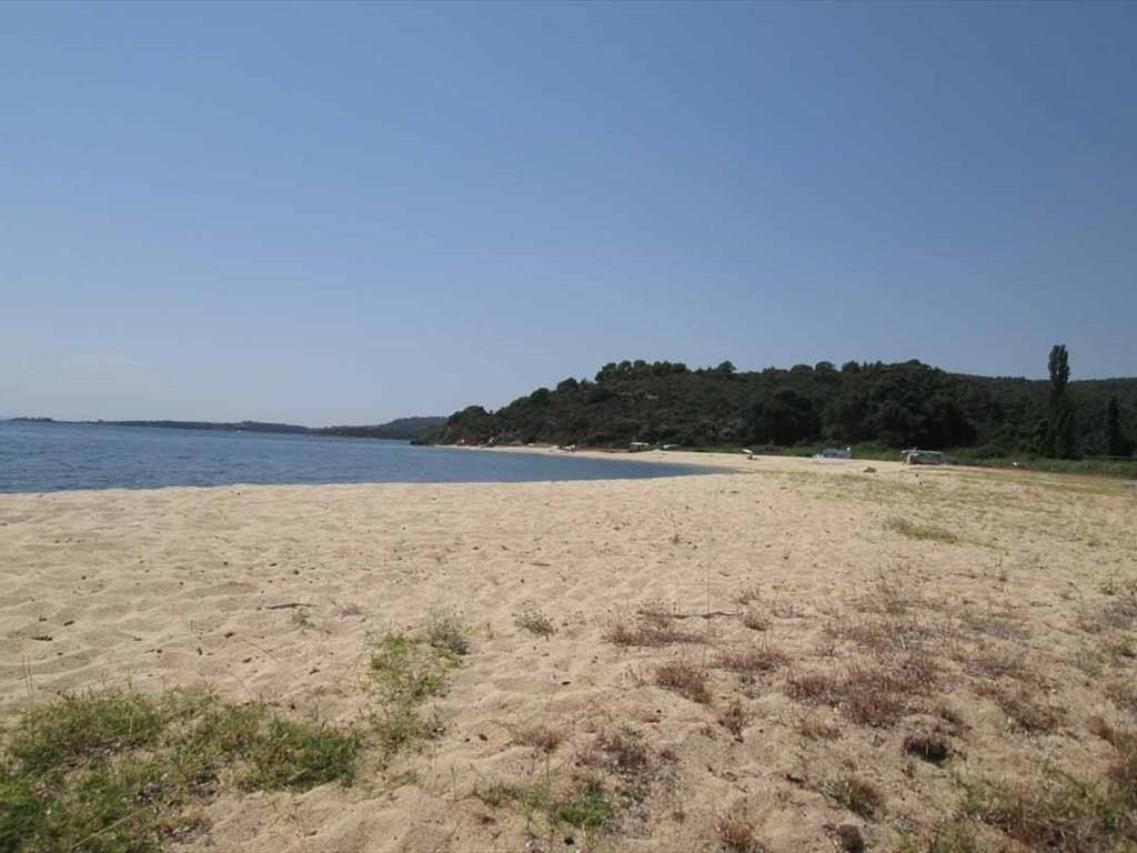 Hotel - Grekodom 11387|141098