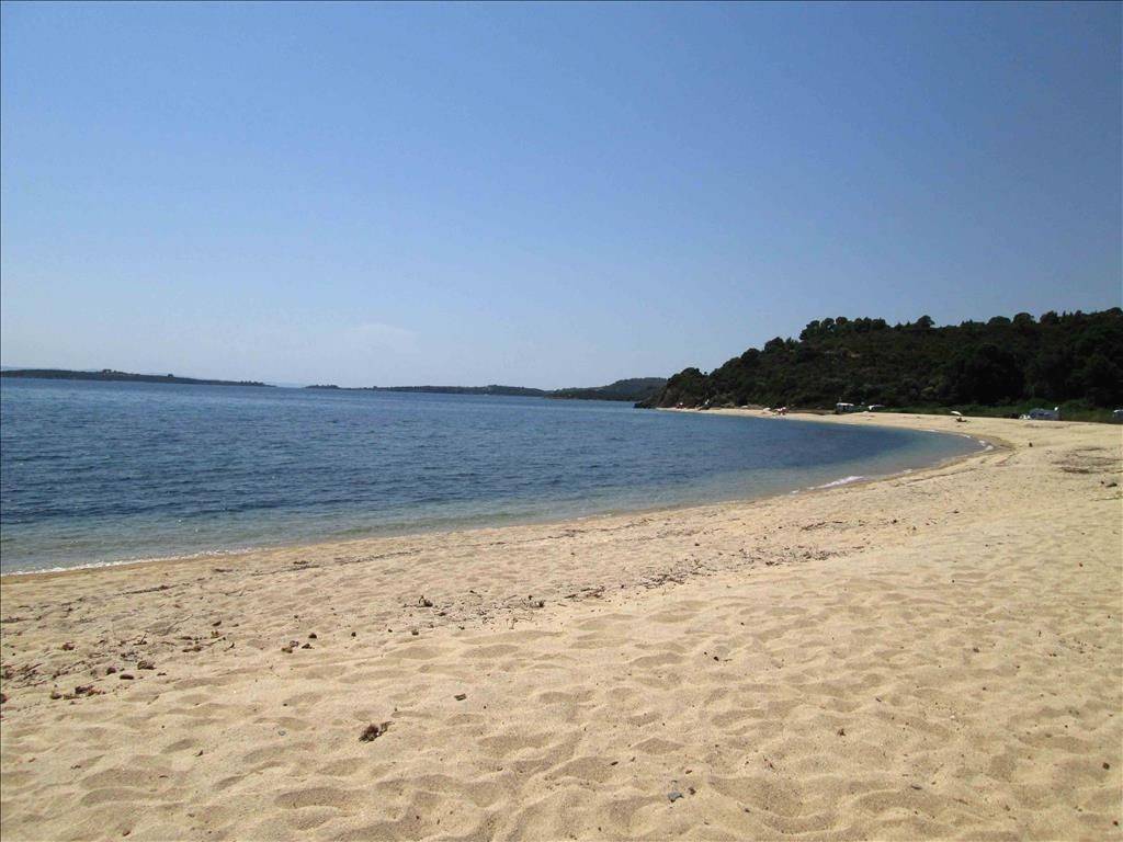 Hotel - Grekodom 11387|141099