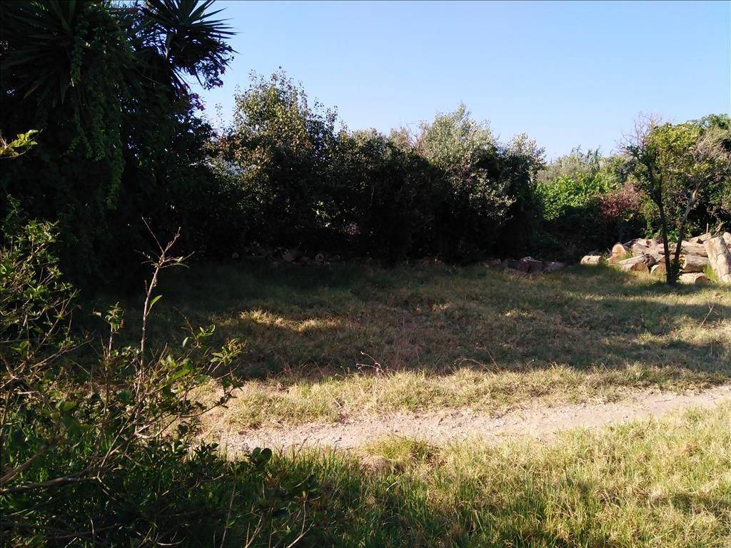 Plot - Grekodom 39778|591073