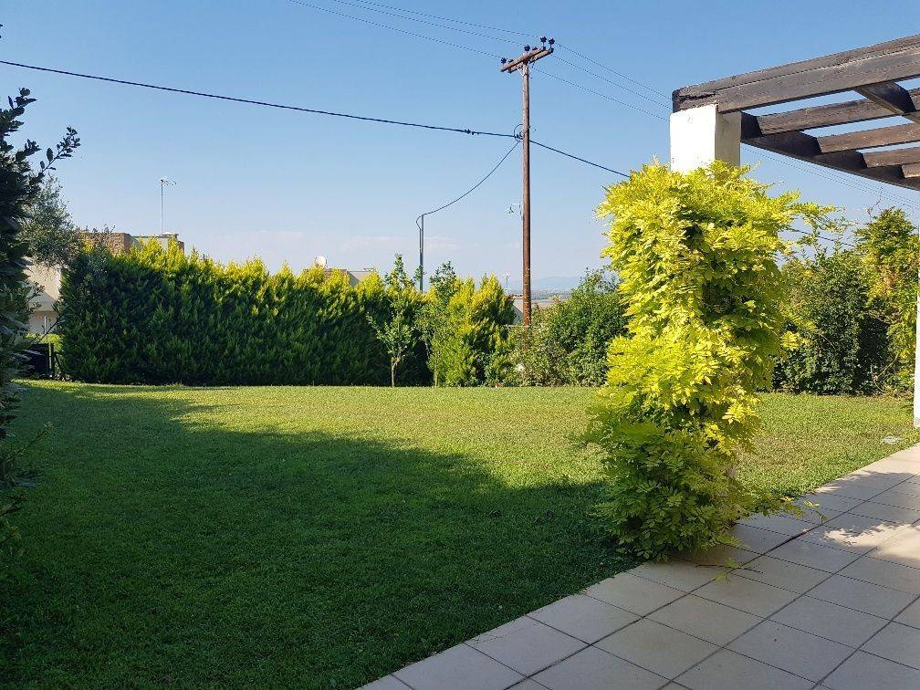 Detached - Grekodom 40180|596660