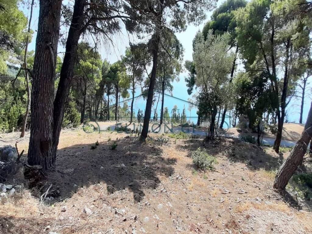 Η όμορφη θέα από το αγροτεμάχιο