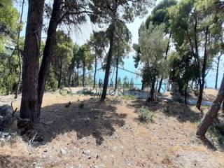 Η όμορφη θέα από το αγροτεμάχιο