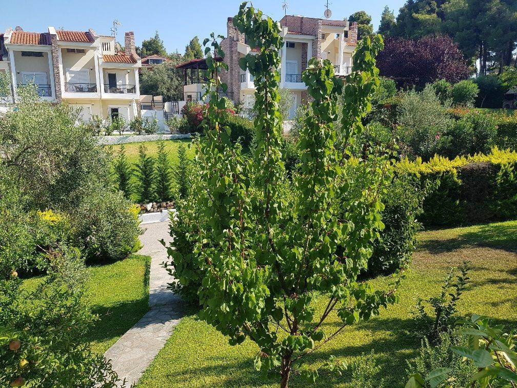 Detached - Grekodom 40180|596651