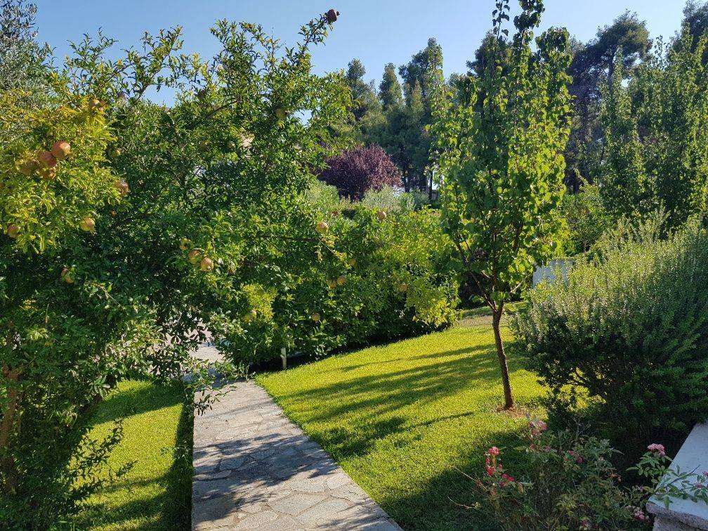 Detached - Grekodom 40180|596663