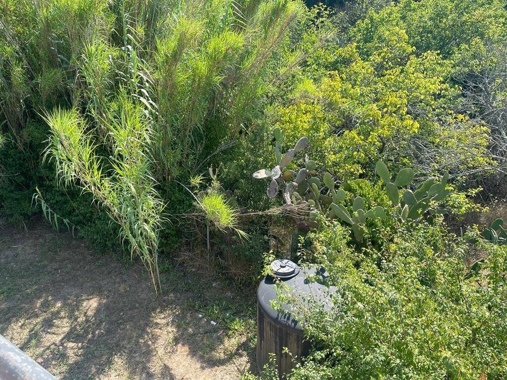 Detached - Grekodom 28792|777332