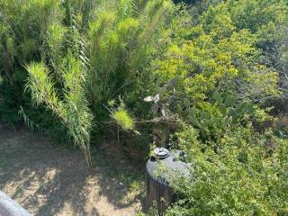 Detached - Grekodom 28792|777332