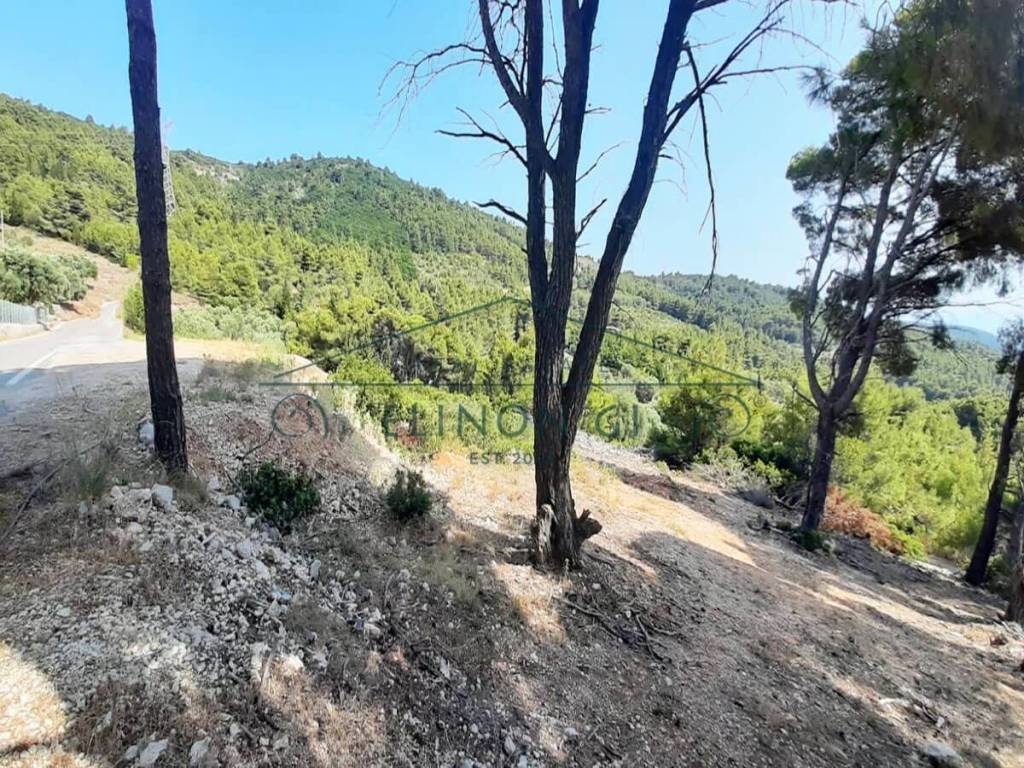 Η όμορφη θέα από το αγροτεμάχιο