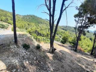 Η όμορφη θέα από το αγροτεμάχιο