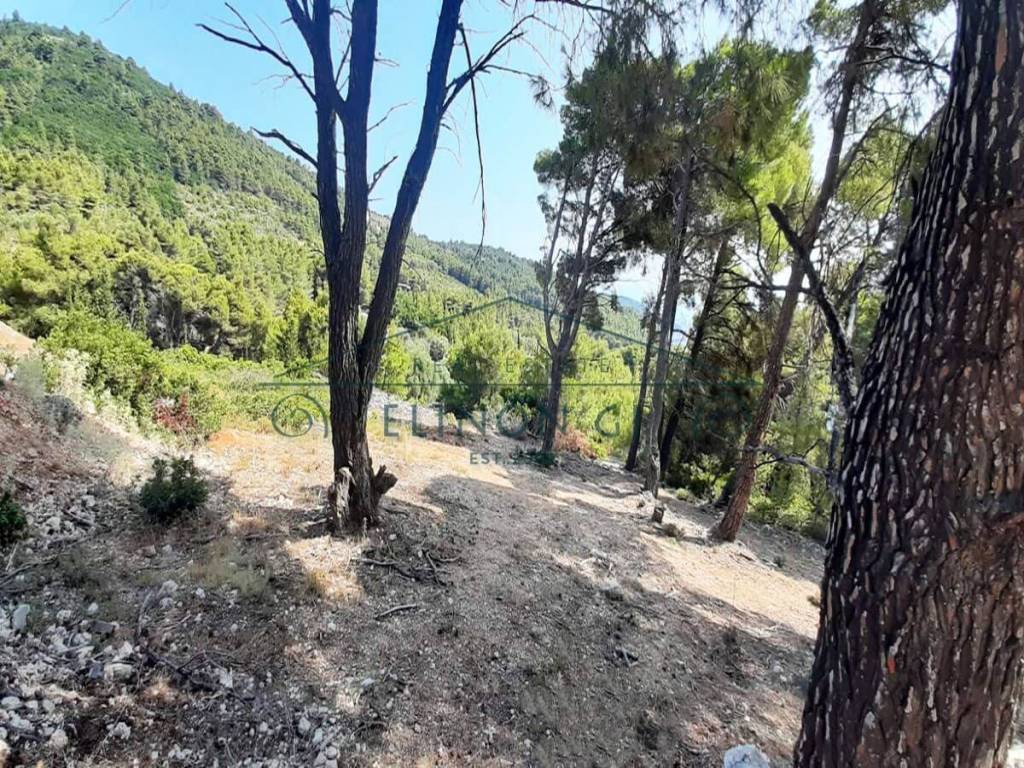 Η όμορφη θέα από το αγροτεμάχιο