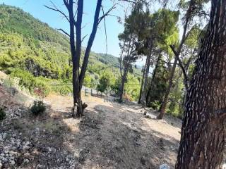 Η όμορφη θέα από το αγροτεμάχιο