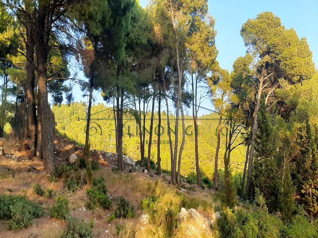 Η όμορφη θέα από το αγροτεμάχιο