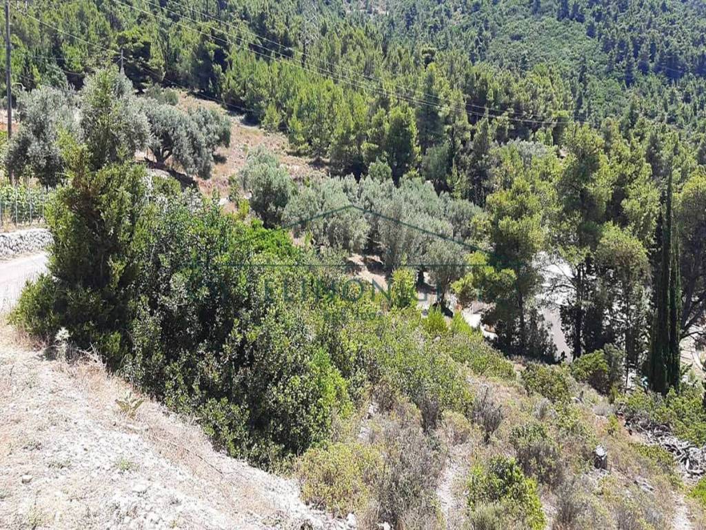 Το αγροτεμάχιο