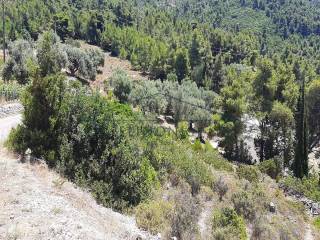 Το αγροτεμάχιο