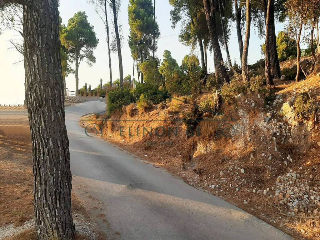 Η πρόσβαση στο αγροτεμάχιο από άσφαλτο