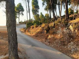 Η πρόσβαση στο αγροτεμάχιο από άσφαλτο