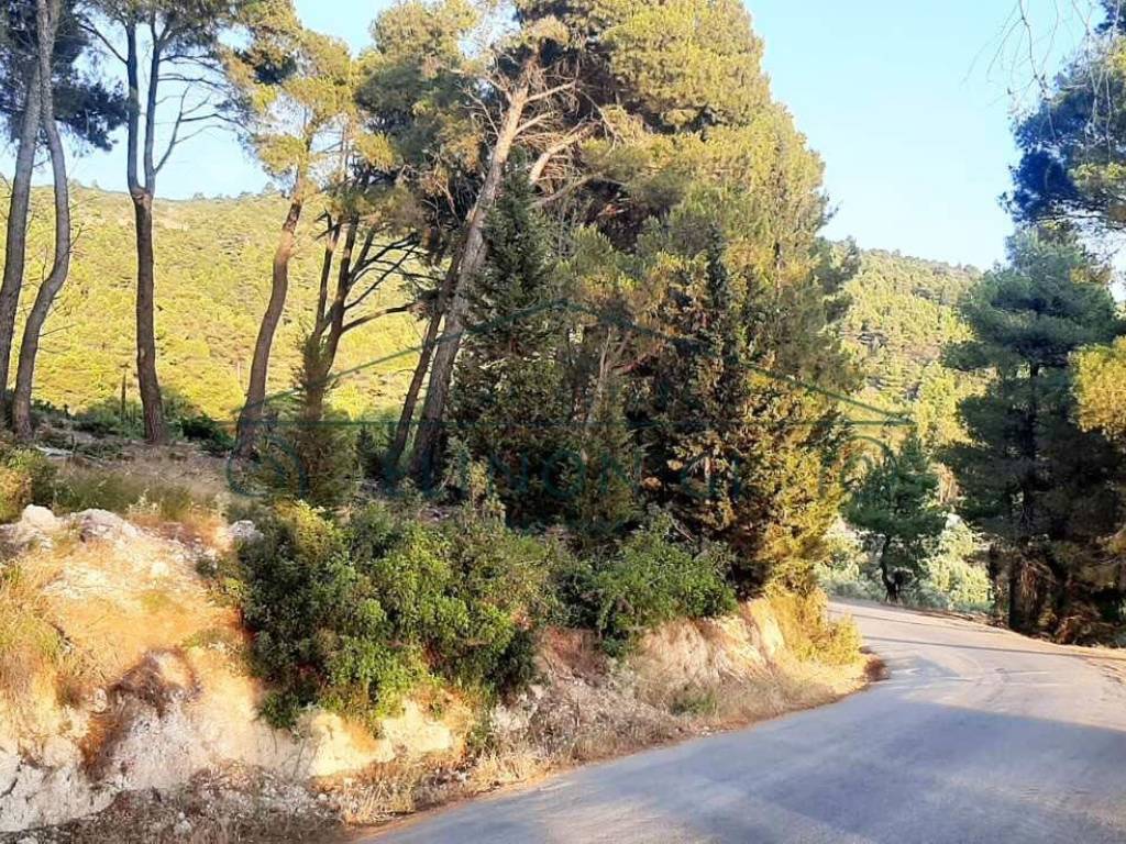 Η πρόσβαση στο αγροτεμάχιο από άσφαλτο