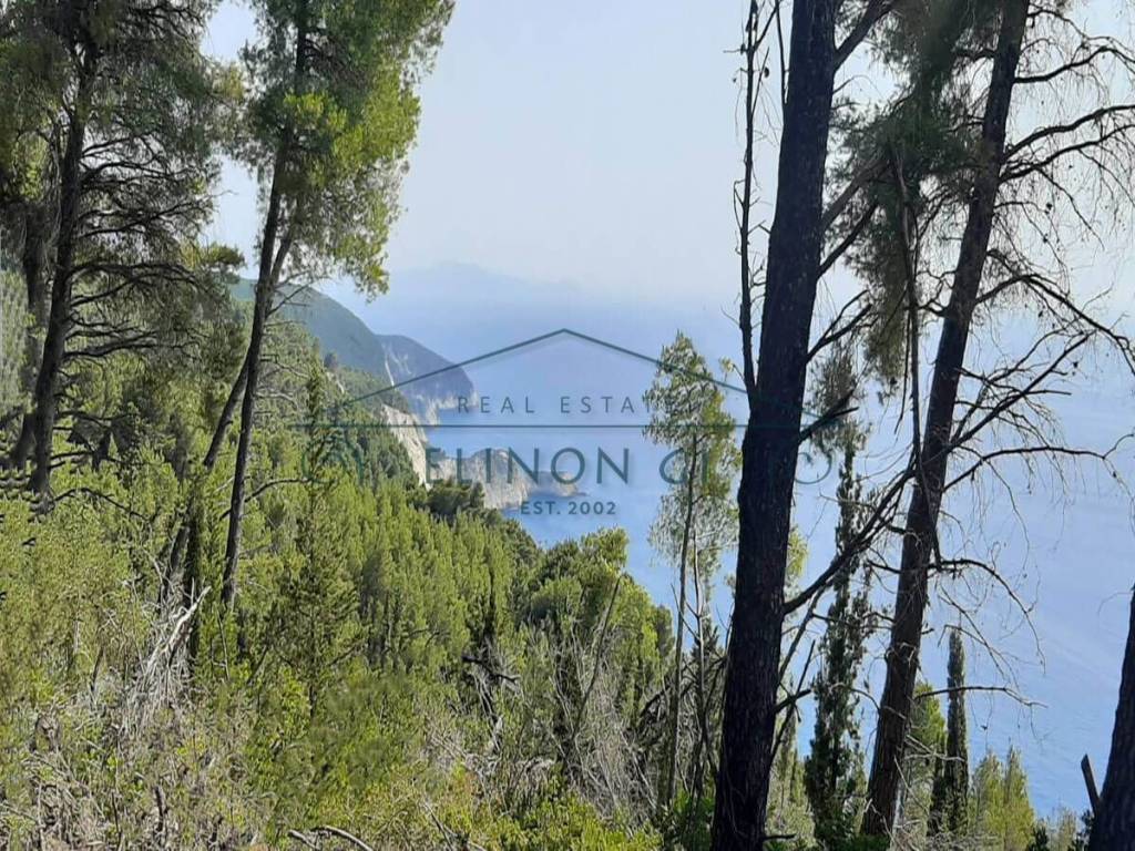 Η όμορφη θέα από το αγροτεμάχιο