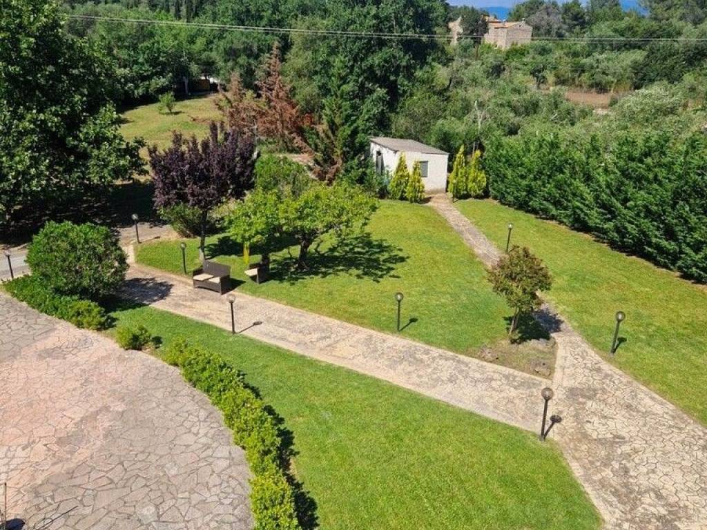 Detached - Grekodom 19457|986534