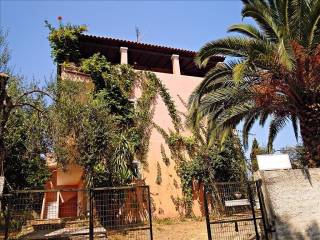 Hotel - Grekodom 21282|272367