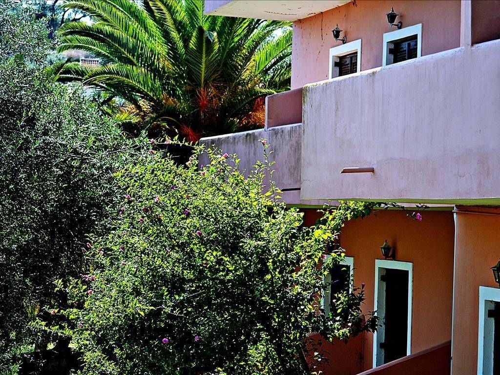 Hotel - Grekodom 21282|272360