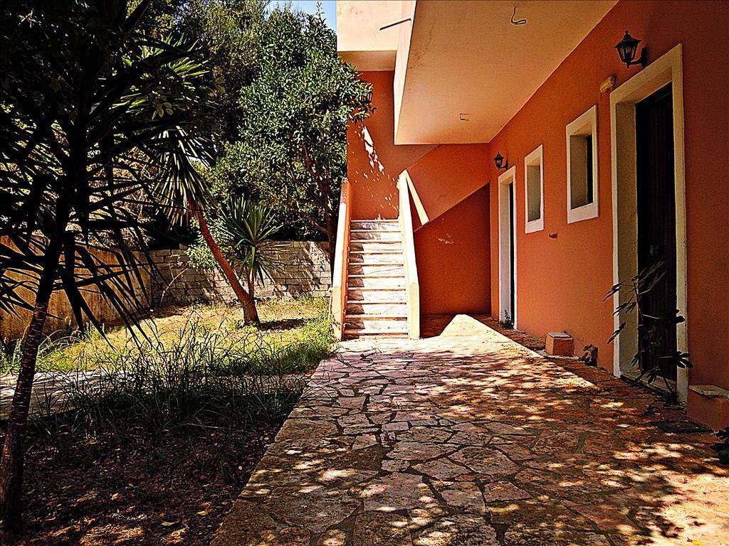 Hotel - Grekodom 21282|272365