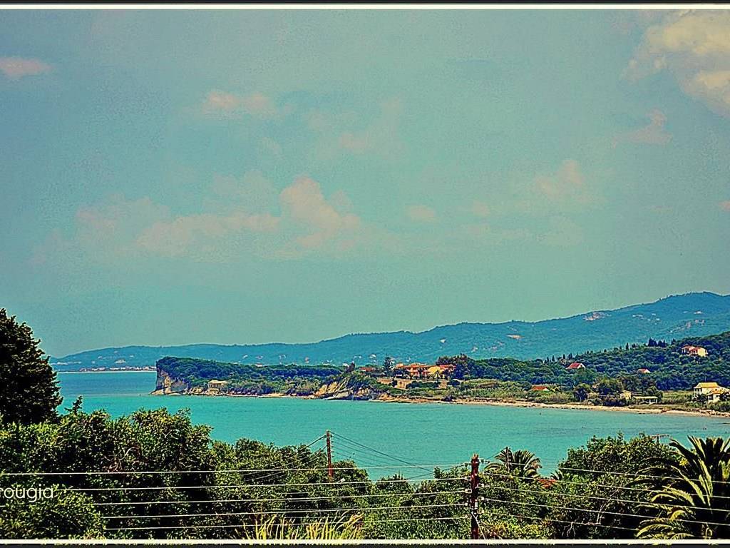 Hotel - Grekodom 21282|272363