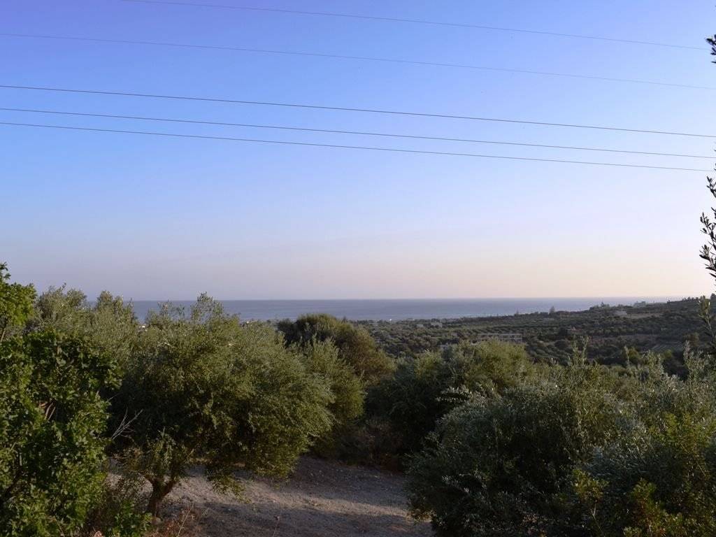 Plot - Grekodom 18947|233578