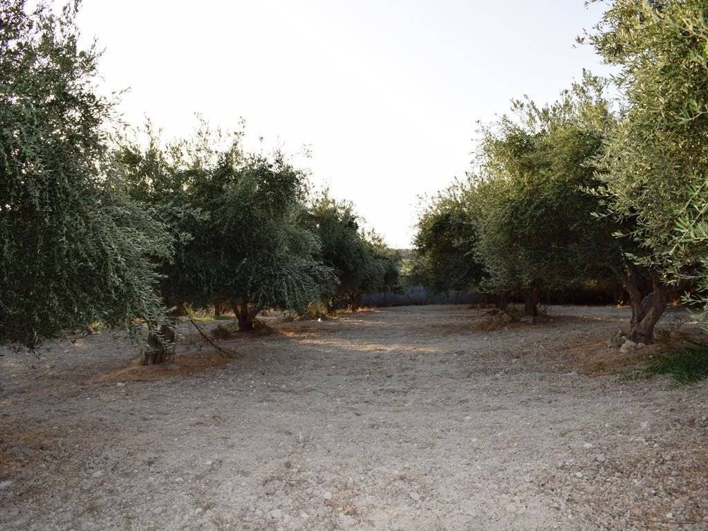 Plot - Grekodom 18947|233579