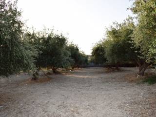 Plot - Grekodom 18947|233579