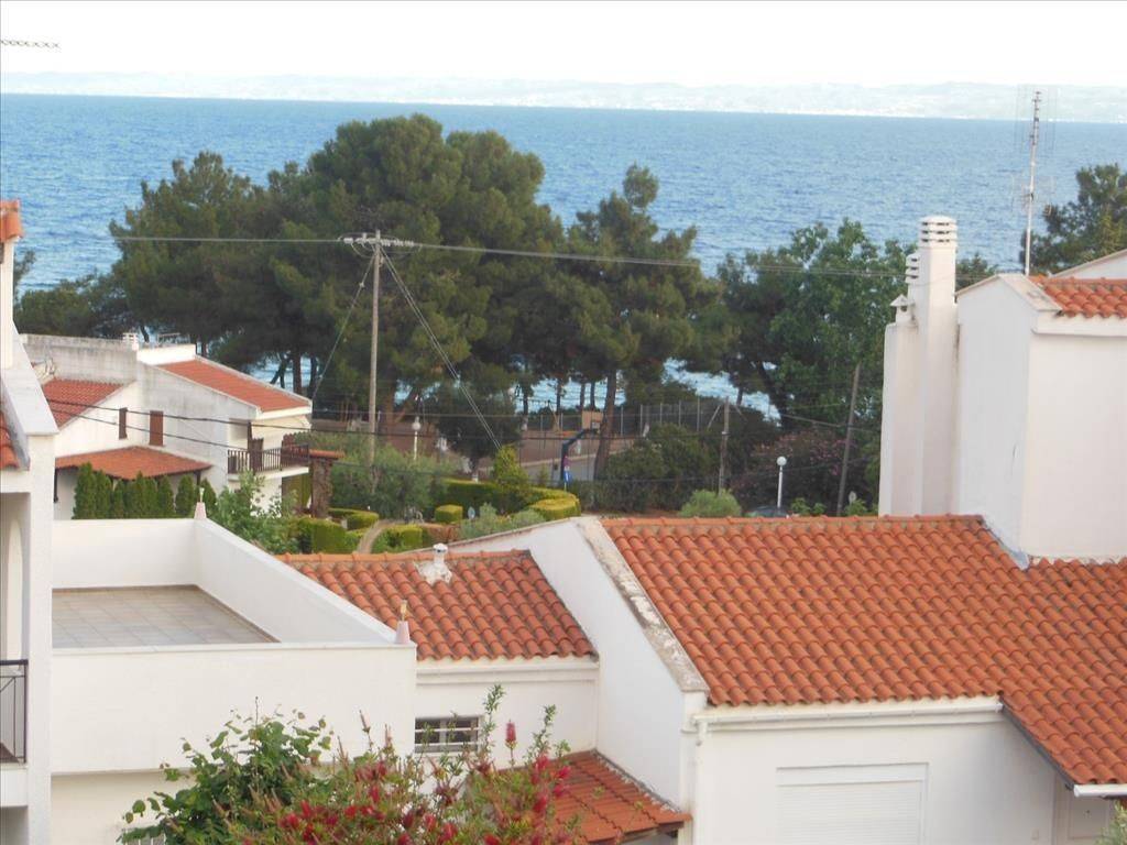 Maisonette - Grekodom 23235|304731