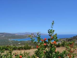 Detached - Grekodom 16507|203029