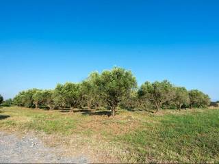 Detached - Grekodom 32279|491263