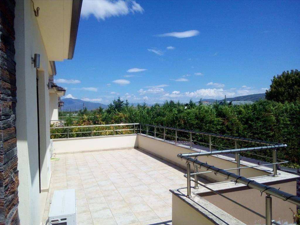 Villa - Grekodom 32242|490482