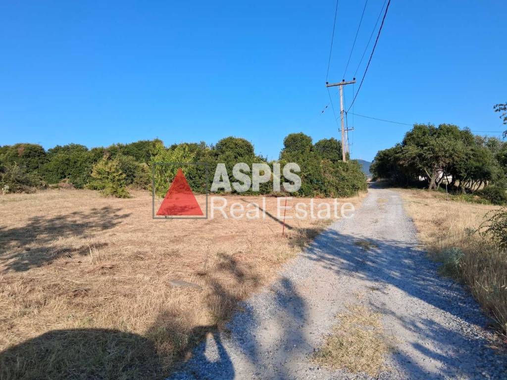 Εξωτερικοι χώροι