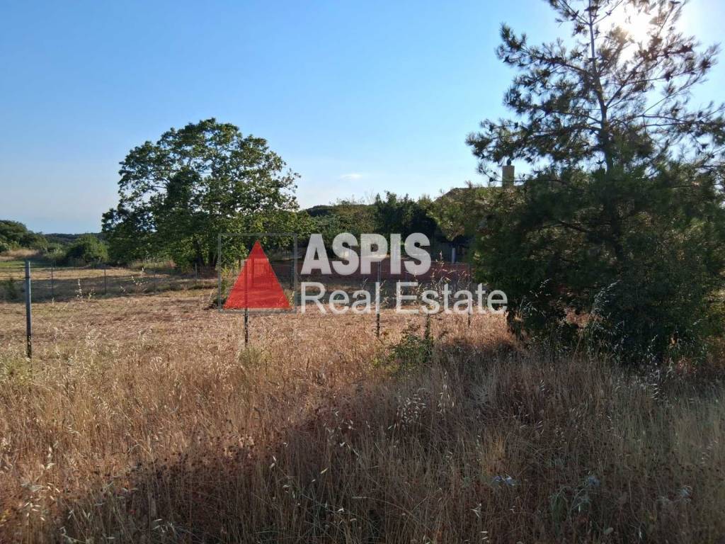 Εξωτερικοι χώροι